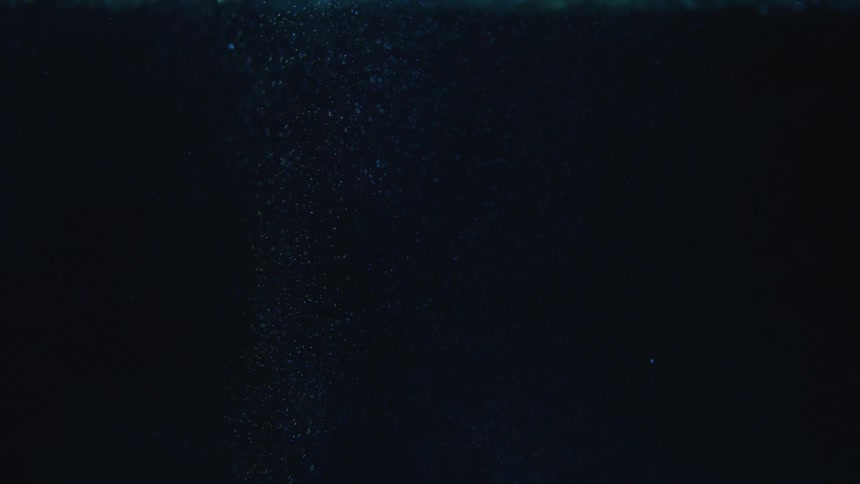 Stars in the night sky