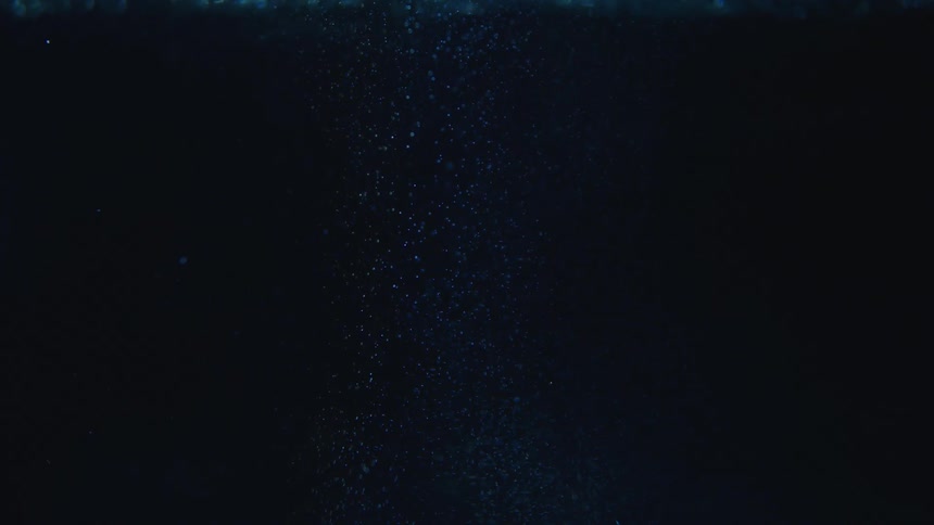 Bubbles rise to the surface of water