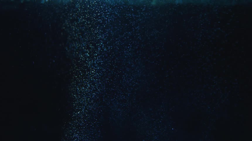 Bubbles rise in water