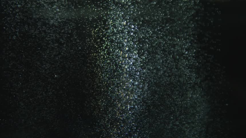 Bubbles rise to the surface of water