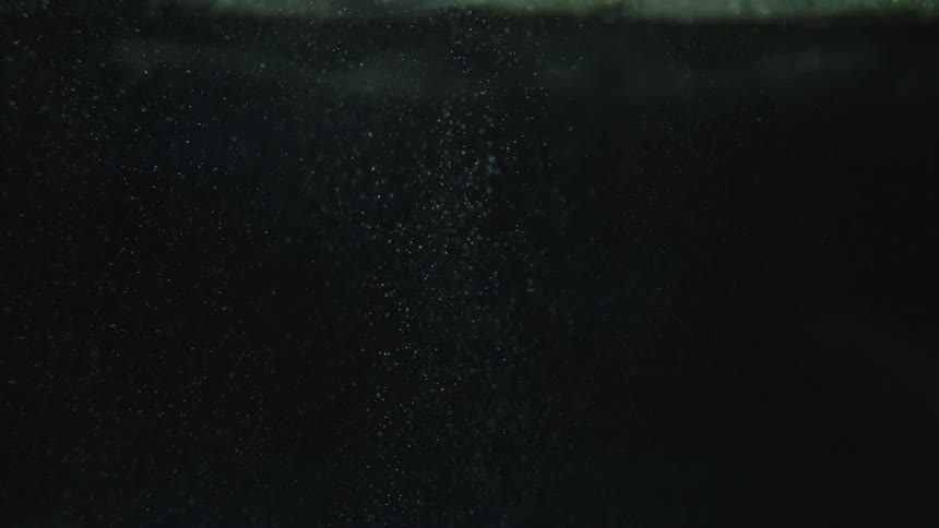 Bubbles rising up underwater