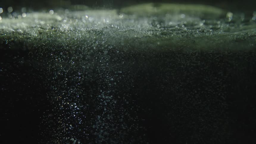 Bubbles rise to the surface of water