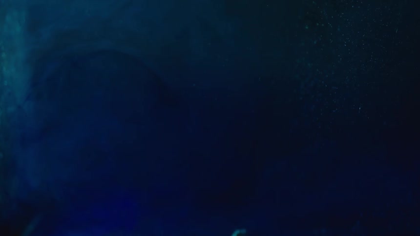 Stars in the night sky