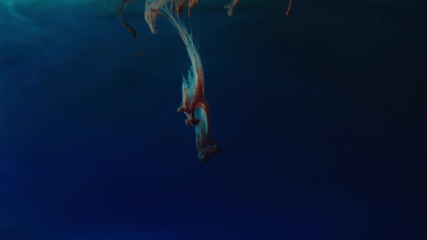 Flowing twigs and tendrils float in blue background