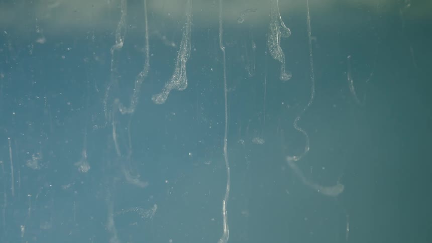 Bubbles in water