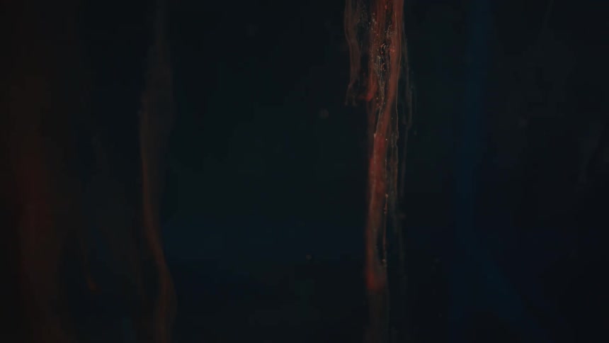 Strands of something hang in darkness