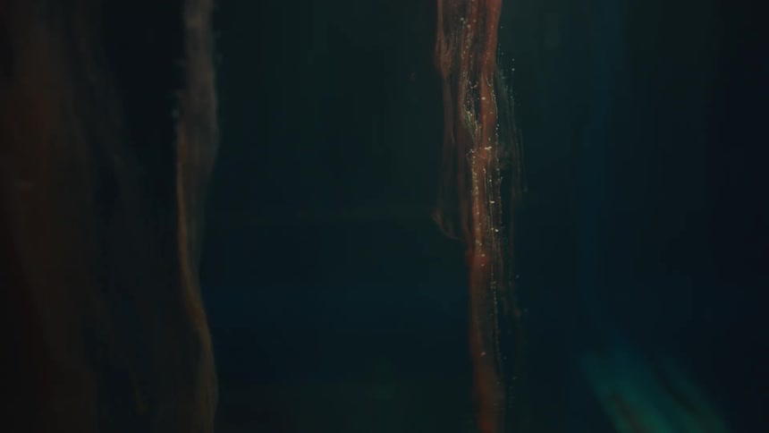 Orange and black paint are on the portrait