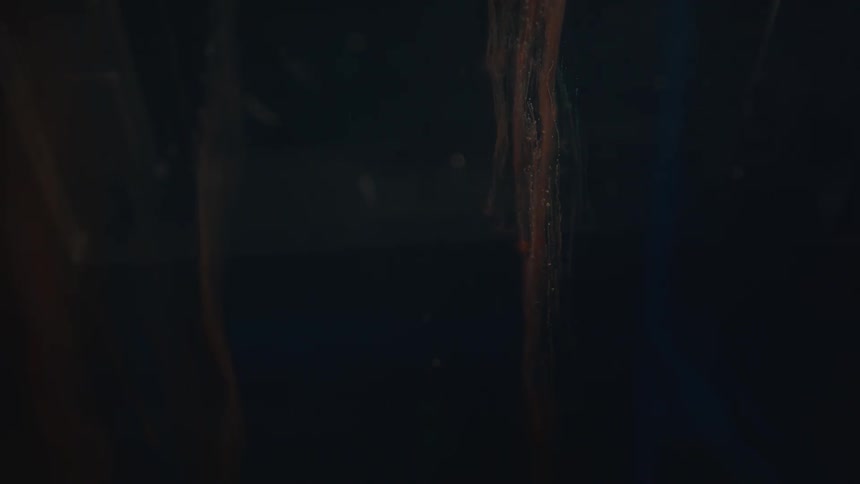 Lights and shadows with brown shapes that looks like a painting