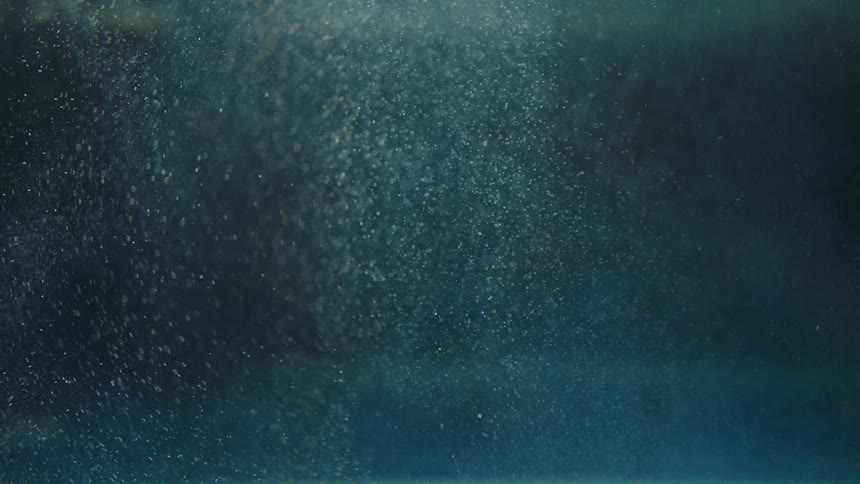 Bubbles rise to the surface of water