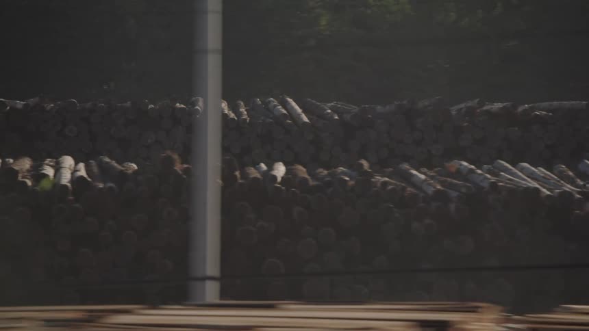 Piles of wood at a factory