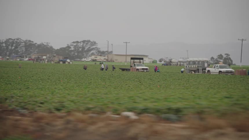 A truck delivering portable bathrooms and people in a field