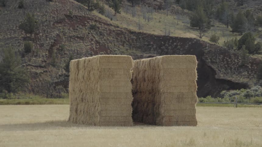 Hay bales stacked on a field in front of mountain