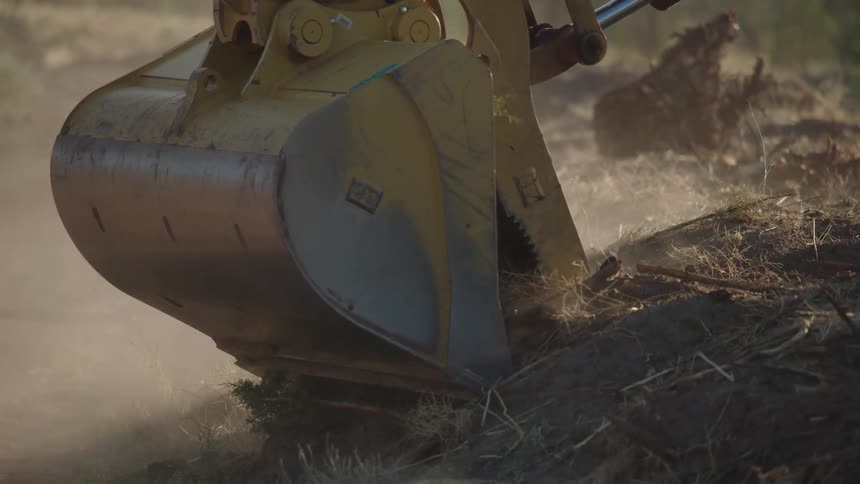 An excavator removes a tree