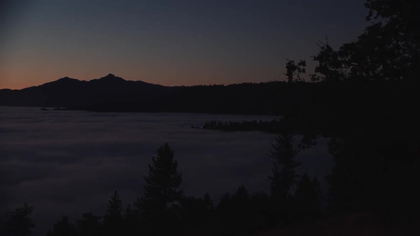 The coastline at night
