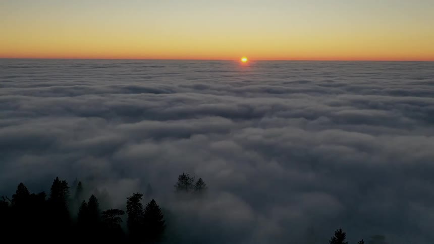 Time lapse of cloud cover over forest as sun sets