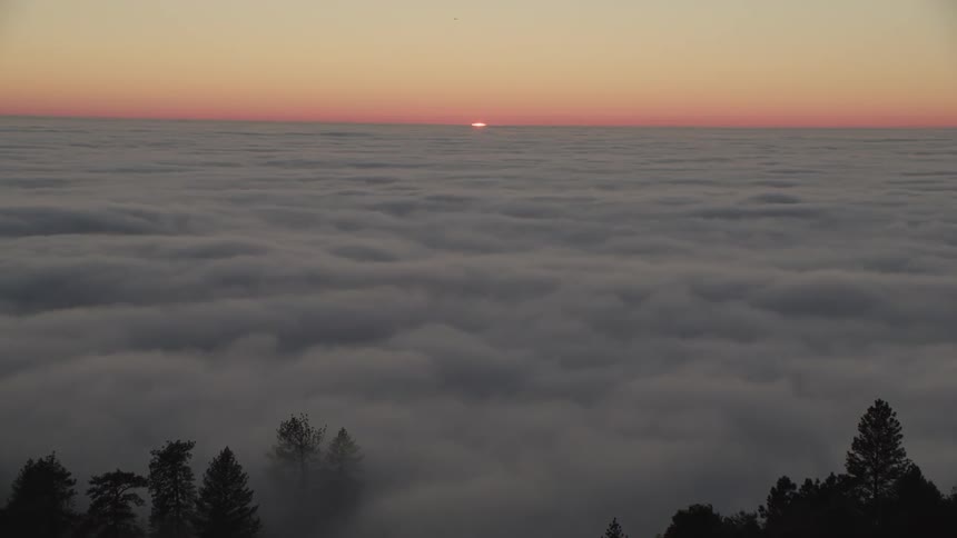 Sun sets behind low cloud cover past silhouettes of pine trees