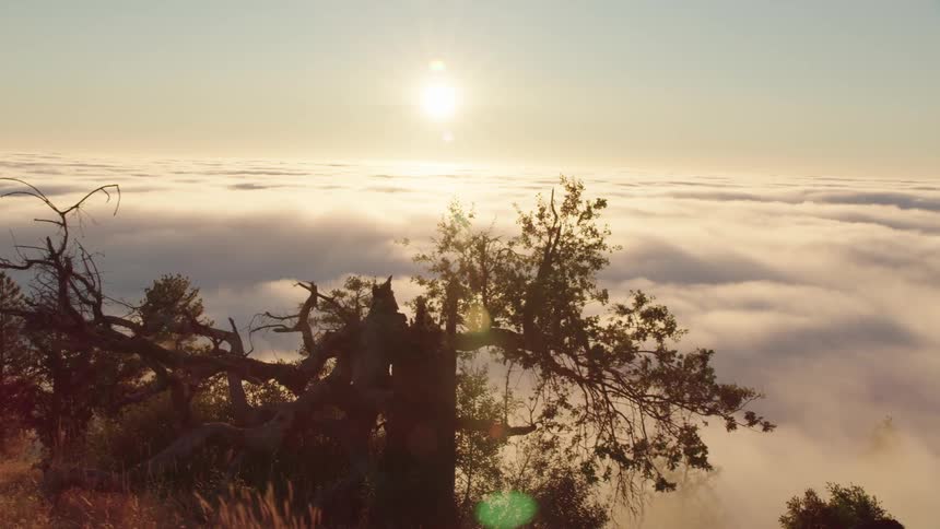 A landscape view of nature is displayed