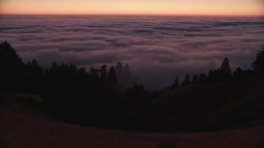 Heavy clouds fill valley below silhouetted trees at sunset