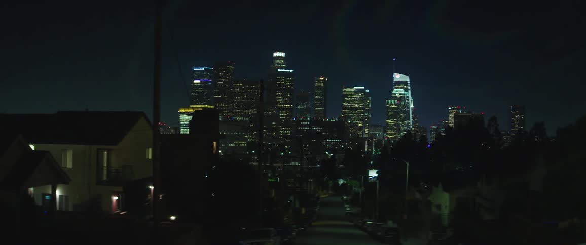 City skyline behind residential neighborhood at night