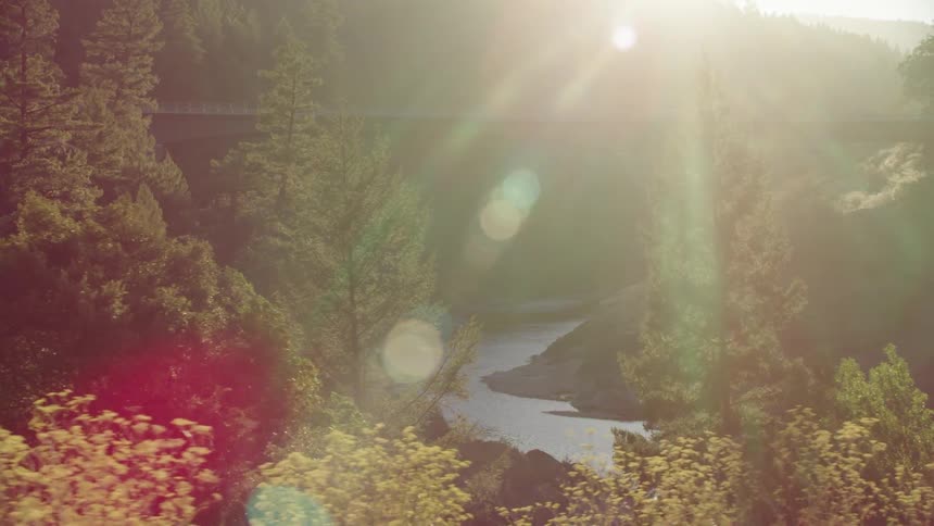 The sun shines over a lake