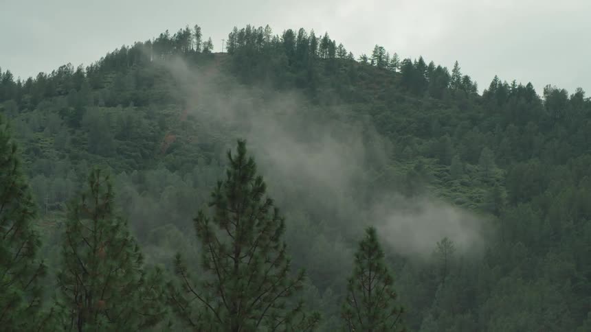 Aerial of fog in the forest on a cloudy day
