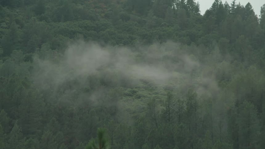 Smoke rises from forest covering side of mountain