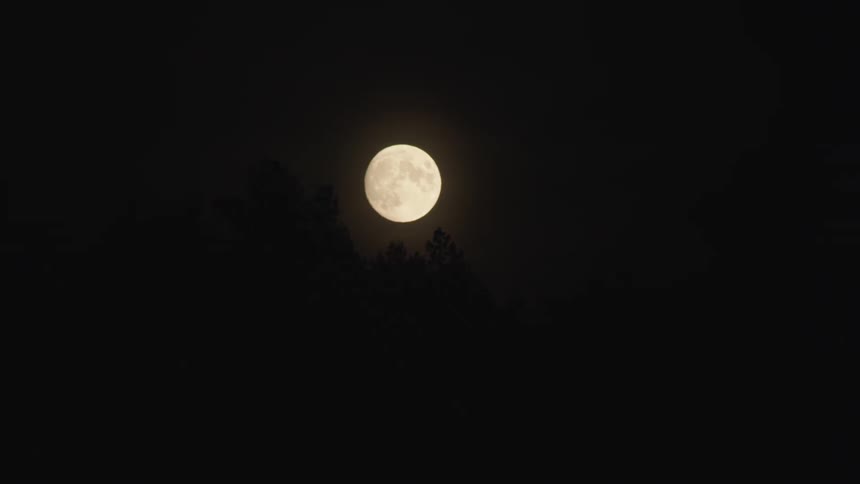 The moon in the night sky