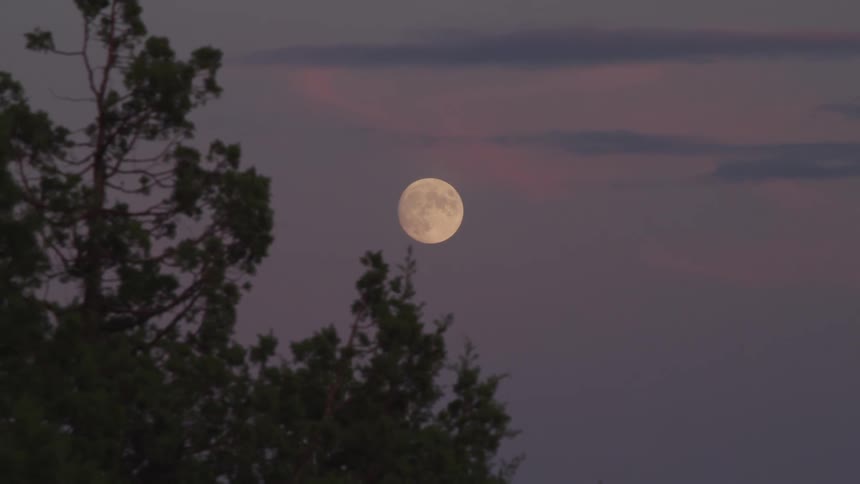 The moon is still visible as the night turns to dawn and the sky is purple and pink