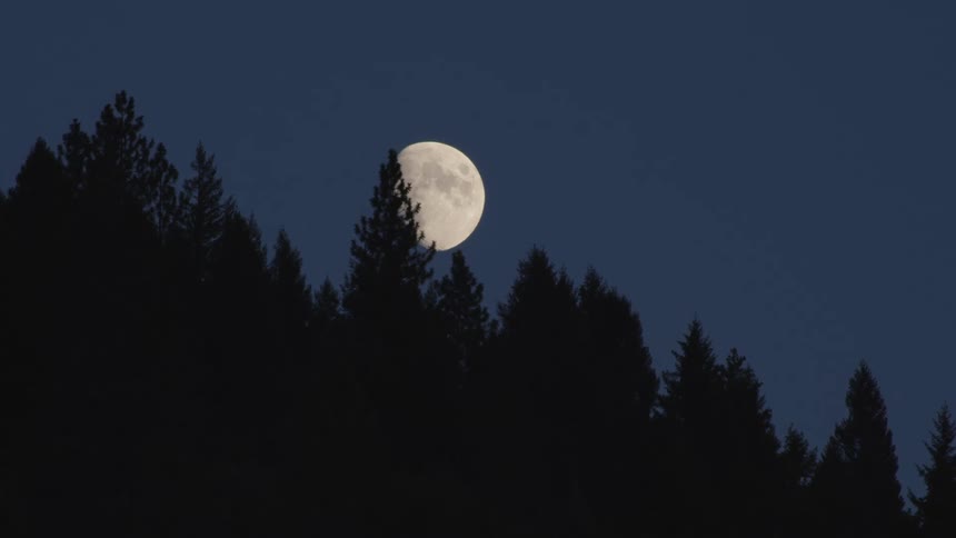 The moon is shining above the forest area