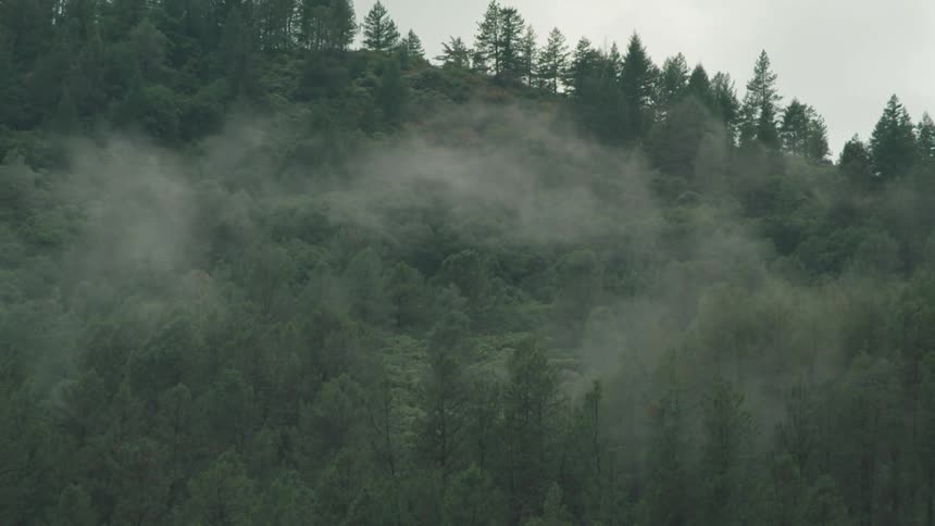 The mountains are covered with fog and trees