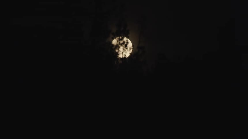 The moon in the night sky