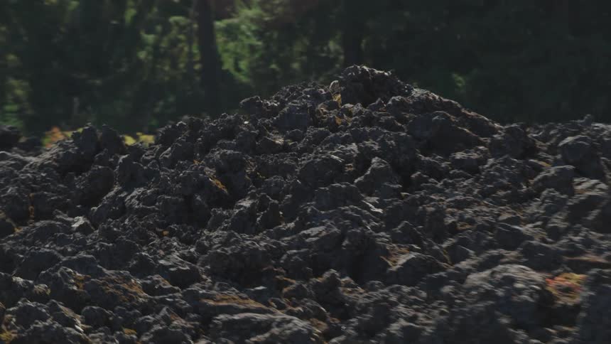 A large pile of rocks outside