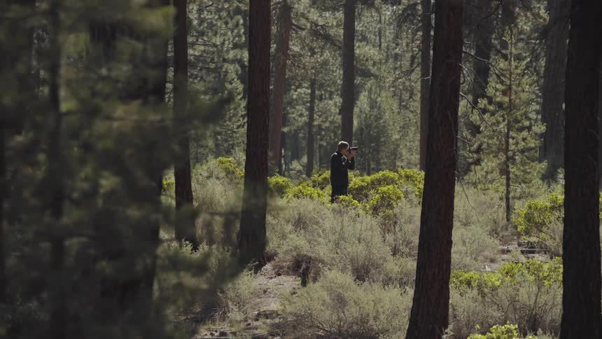 Photographer takes pictures in forest at day