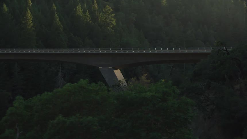 A bridge in the middle of a forest