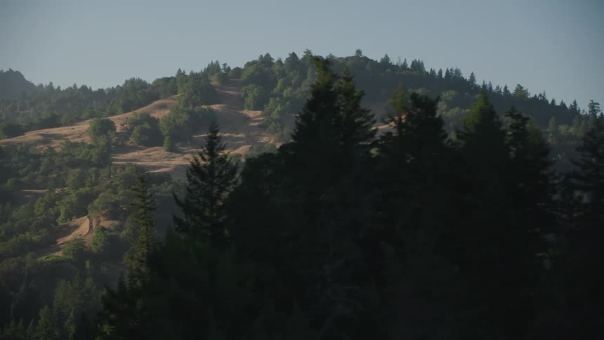 A highway with trees in the foreground and hills in the background
