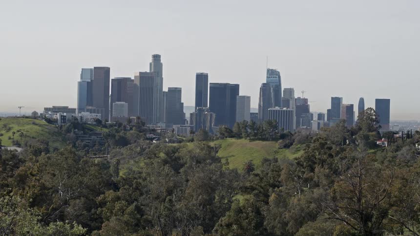 Los angeles skyline behind natural area