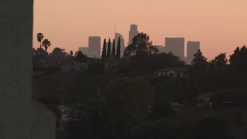 Homes in the hills with palm trees and bushes and trees with the city skyline on the horizon