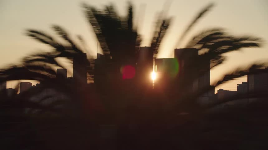 Skyline of the city with skyscrapers and tall buildings at dusk