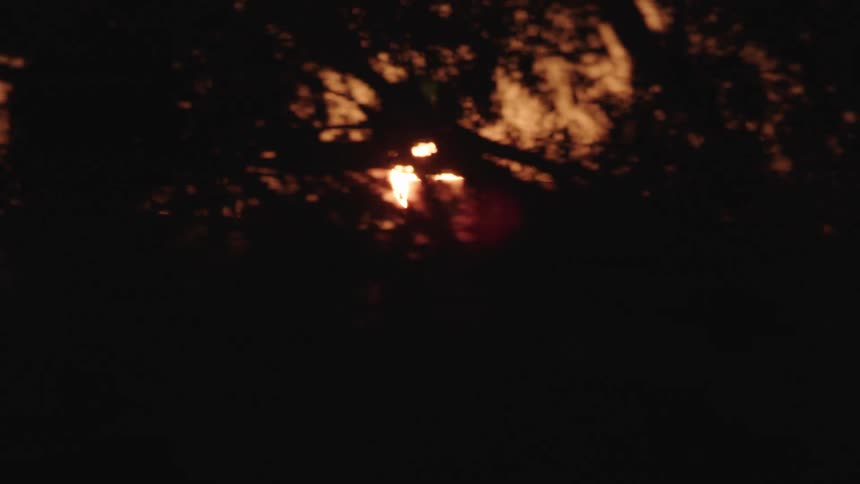 Setting sun tints the sky orange as it silhouettes buildings and trees