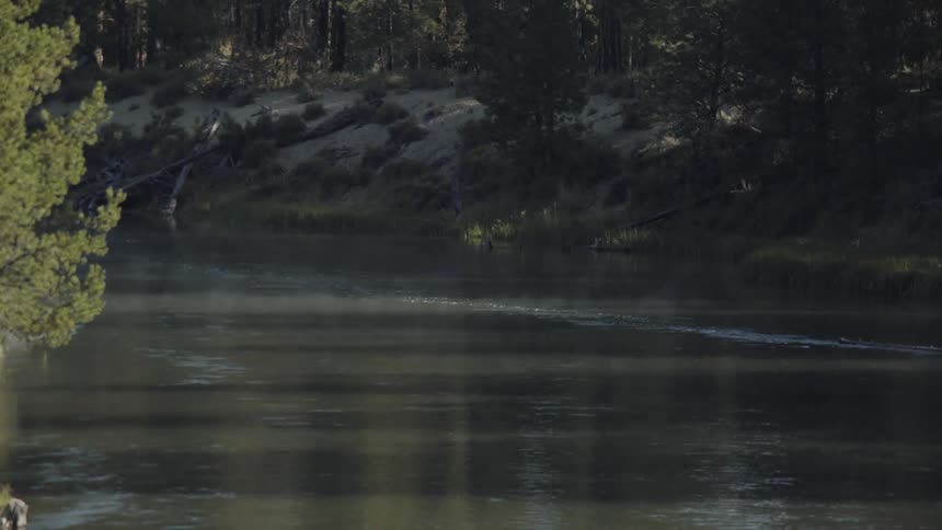 The river is moving along in the wilderness