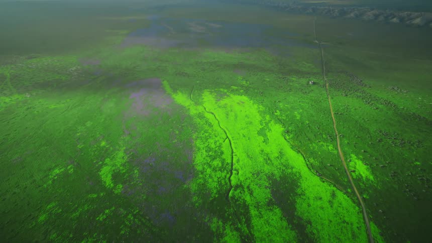 Wide aerial shot of bright green vegetation on tidal plain with mountains in background