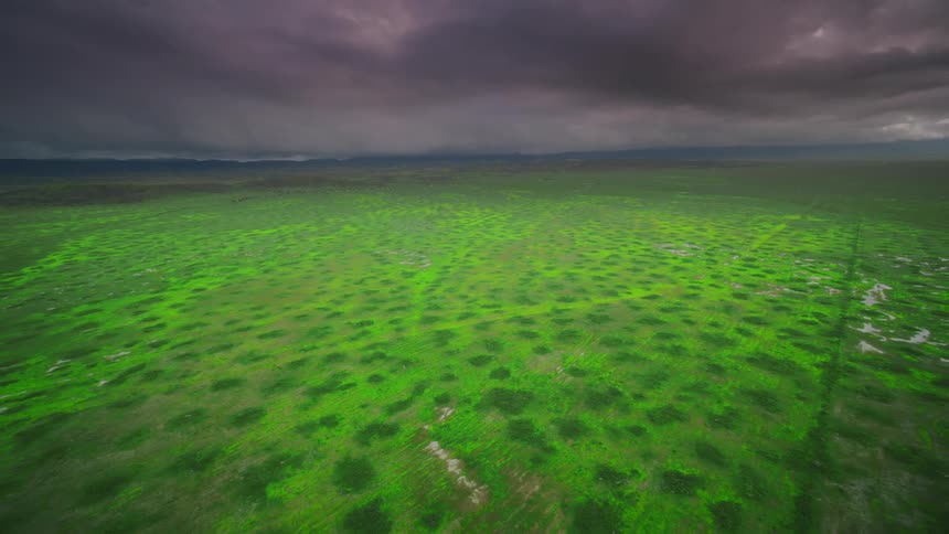 Vibrant green vegetation occupies wide plain under purple clouds