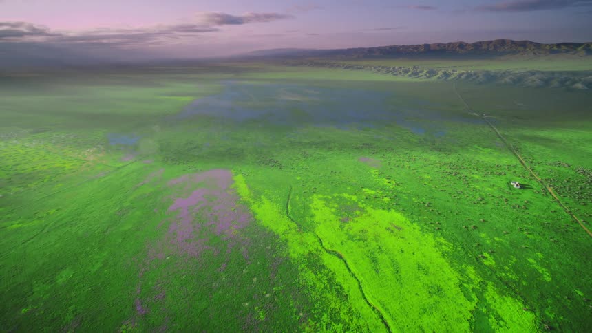 Swampland with green algae with the sky in the background