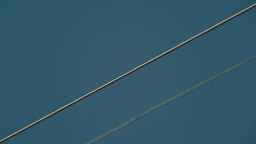 Two birds on a wire fly away