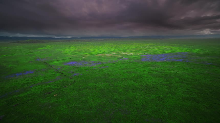 Landscape views of a field and swamp