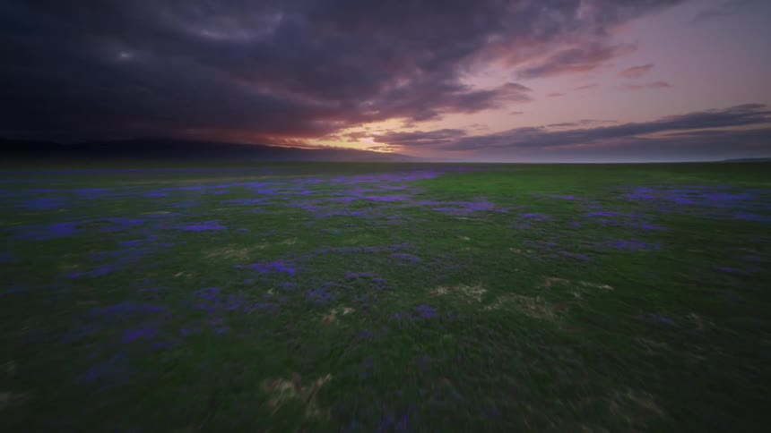 Sun beams shine before the sun sets on the horizon over the ocean tidal pools