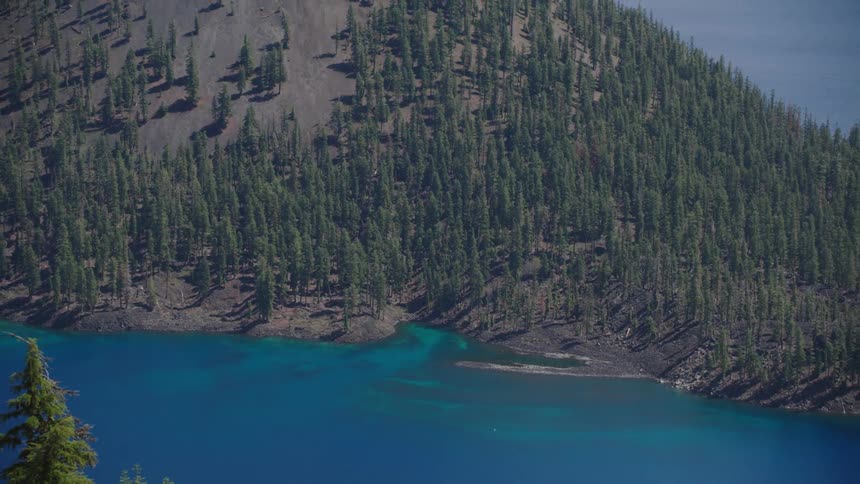 A lake around a forest