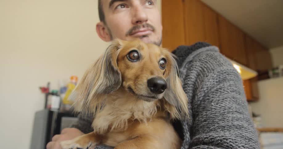 A man holds a dog