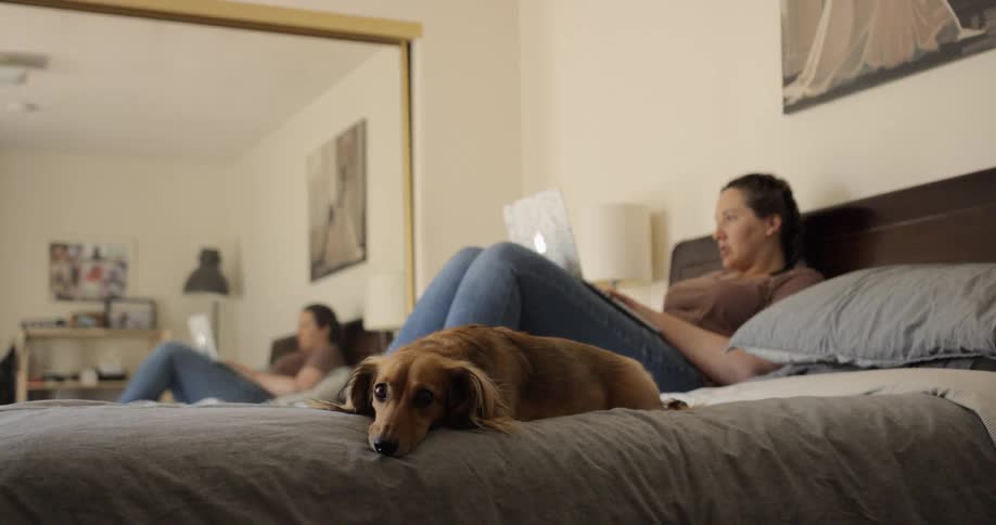A woman is laying in bed with dog working on laptop