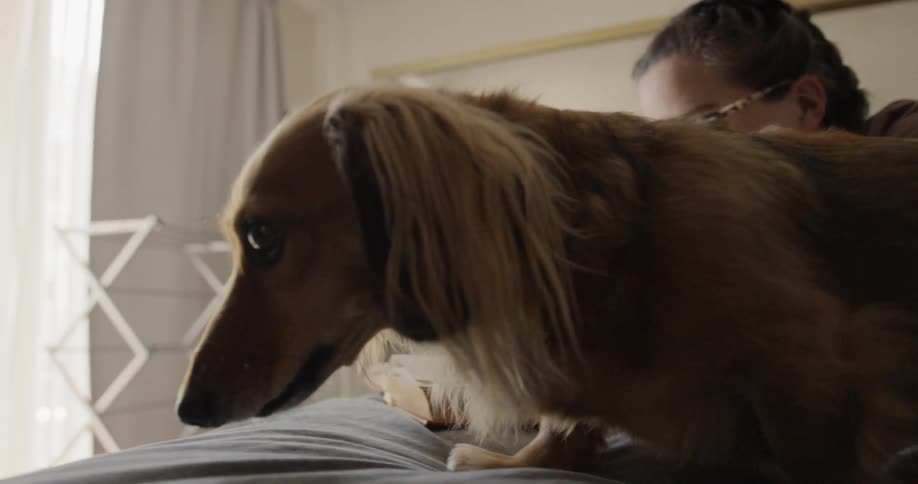 A dog lays down on a bed near her happy owner